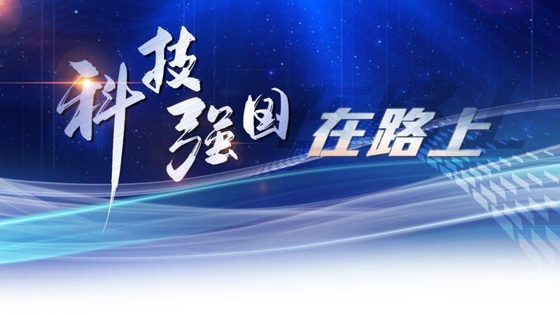 云原生服务网格：Istio与Linkerd的架构与性能对比