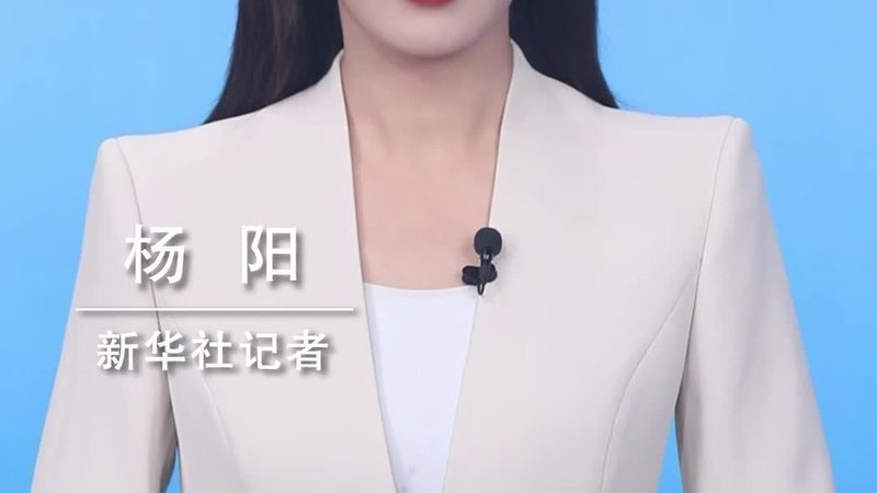 智能客服配置之道：揭秘参数背后的行业智慧**
